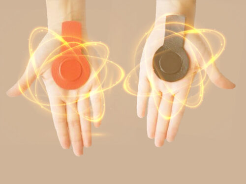Biomagnetismo y Bioenergética