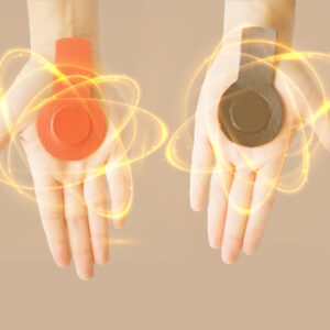 Curso de Biomagnetismo (Nivel 1)